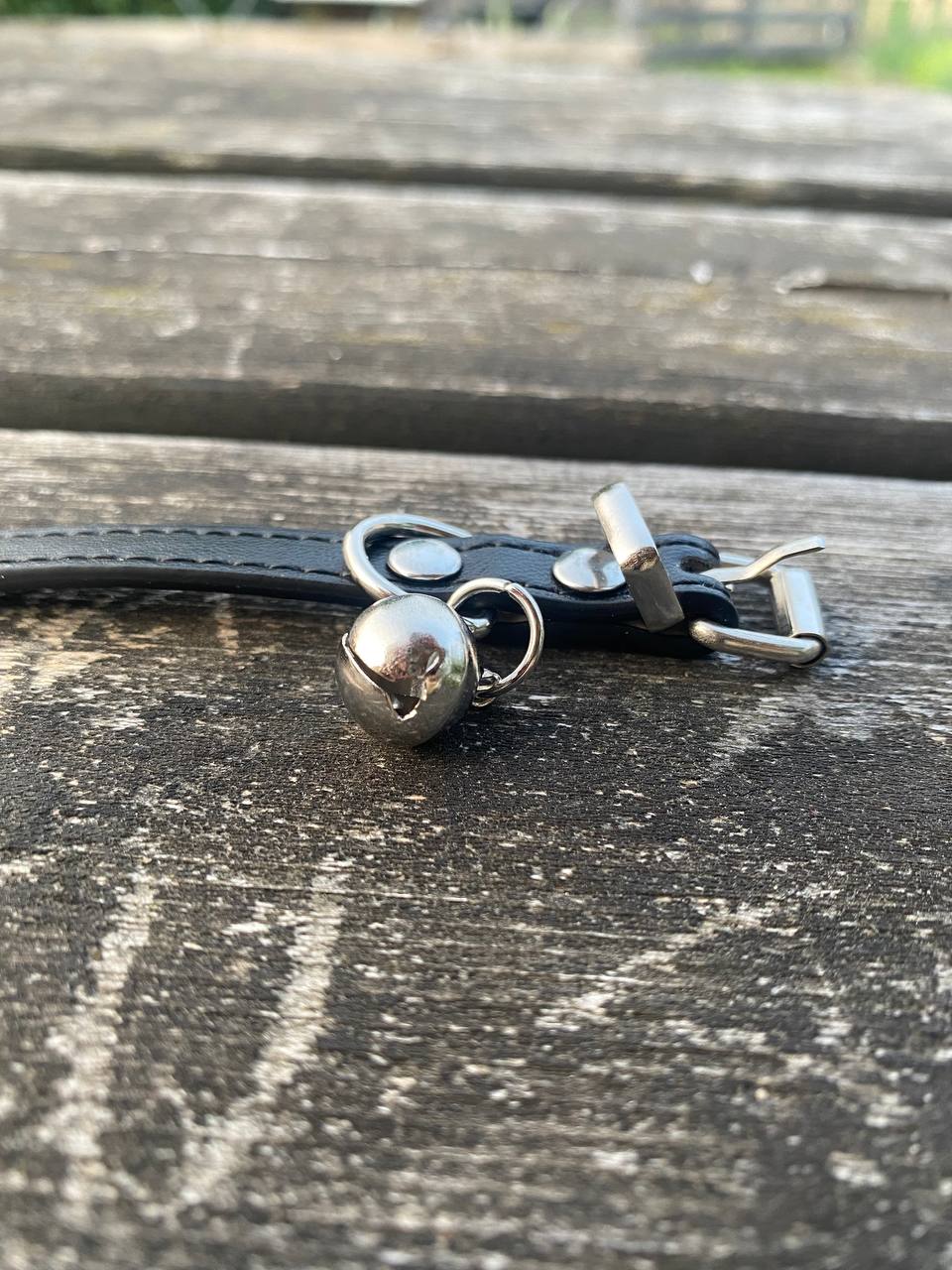 Fjäderlek & Stil – Kattset med fjäderleksak + halsband ( Miljövänligt🌱& Veganskt)