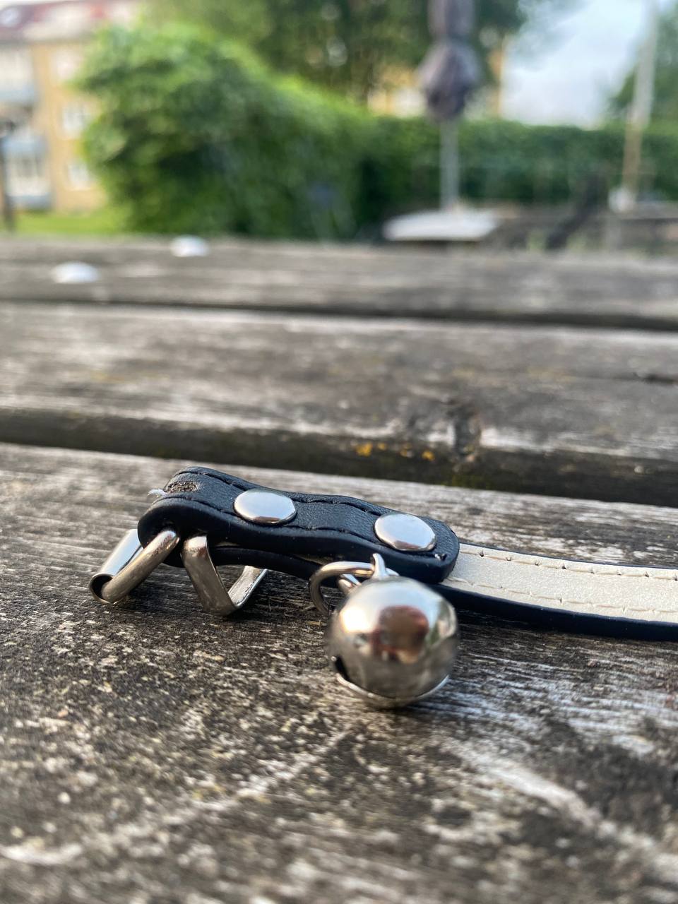 Fjäderlek & Stil – Kattset med fjäderleksak + halsband ( Miljövänligt🌱& Veganskt)