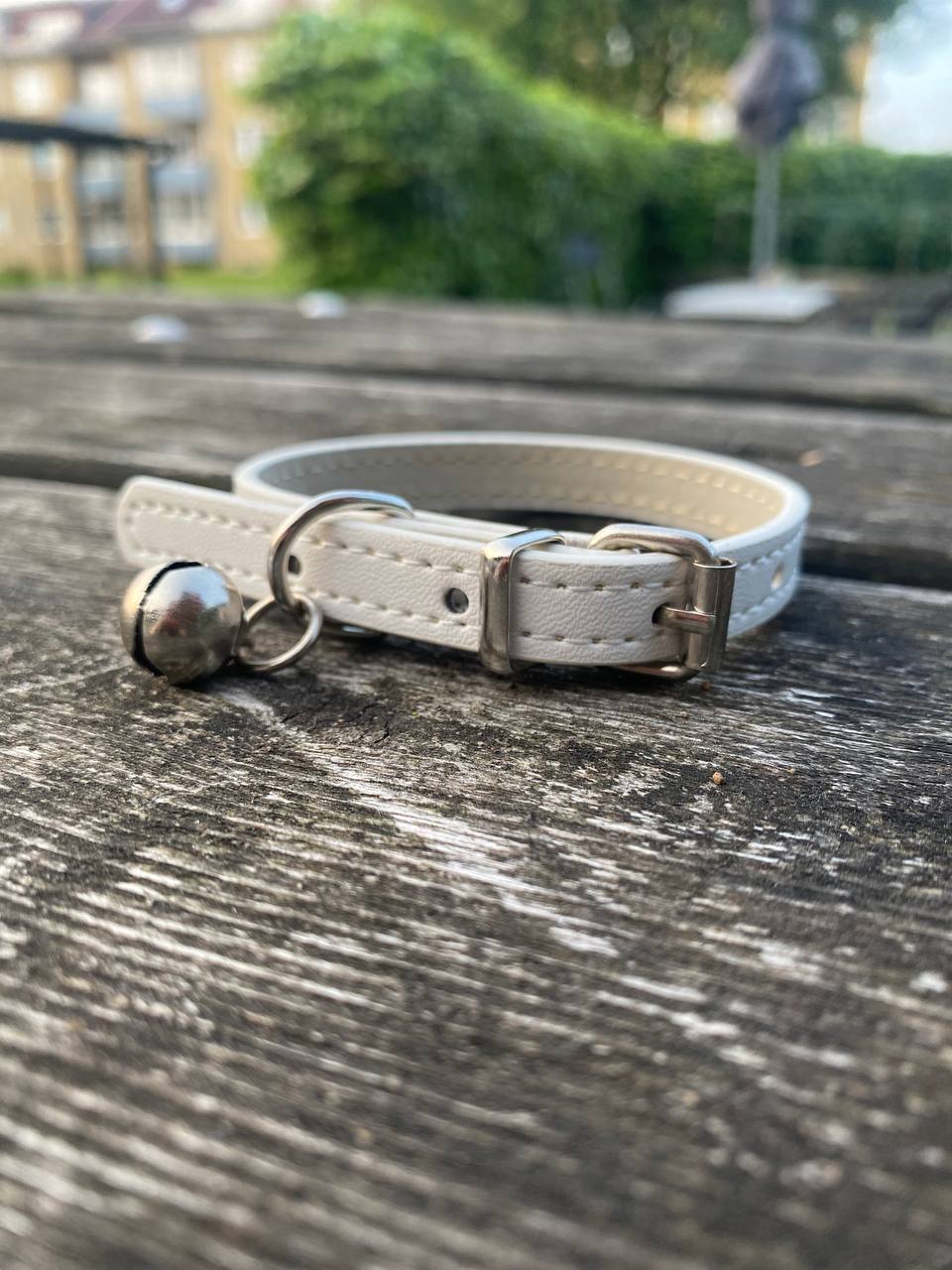 Fjäderlek & Stil – Kattset med fjäderleksak + halsband ( Miljövänligt🌱& Veganskt)