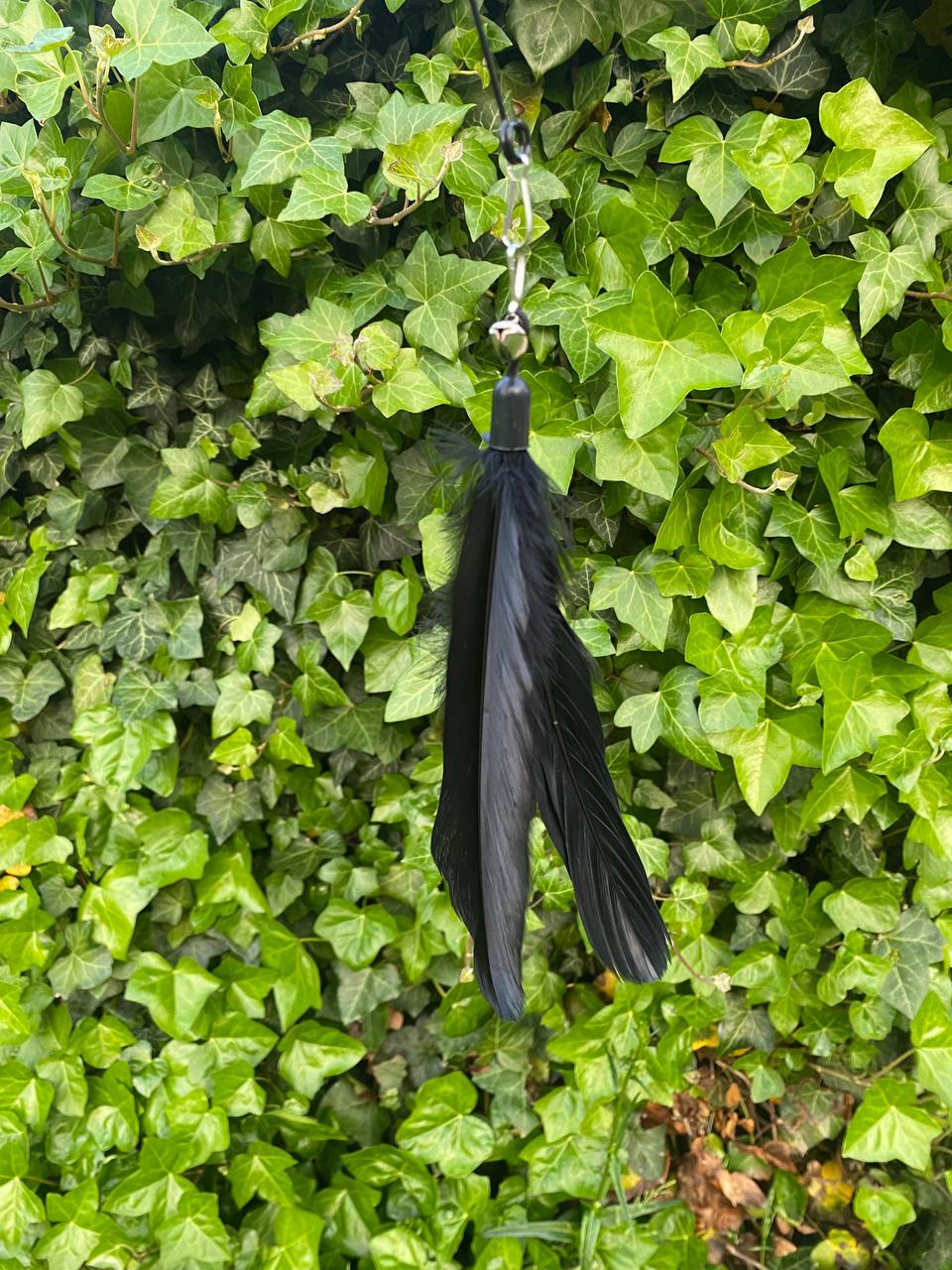 Fjäderlek & Stil – Kattset med fjäderleksak + halsband ( Miljövänligt🌱& Veganskt)