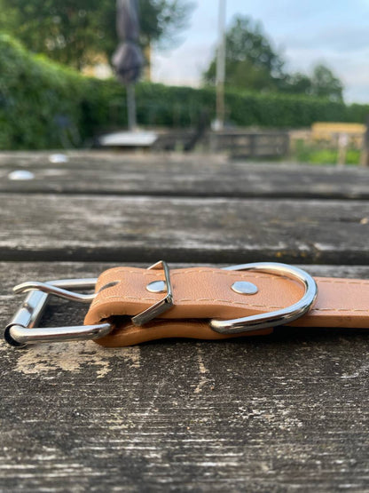 Everyday Elegance – Hundhalsband i PU ( miljövänligt 🌱 & veganskt)