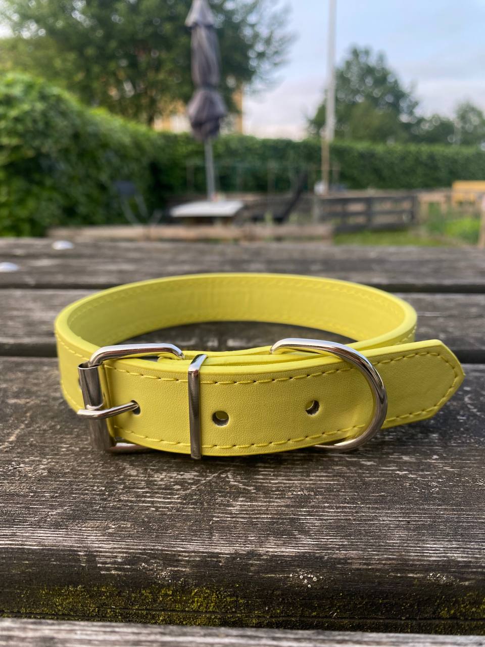 Everyday Elegance – Hundhalsband i PU ( miljövänligt 🌱 & veganskt)