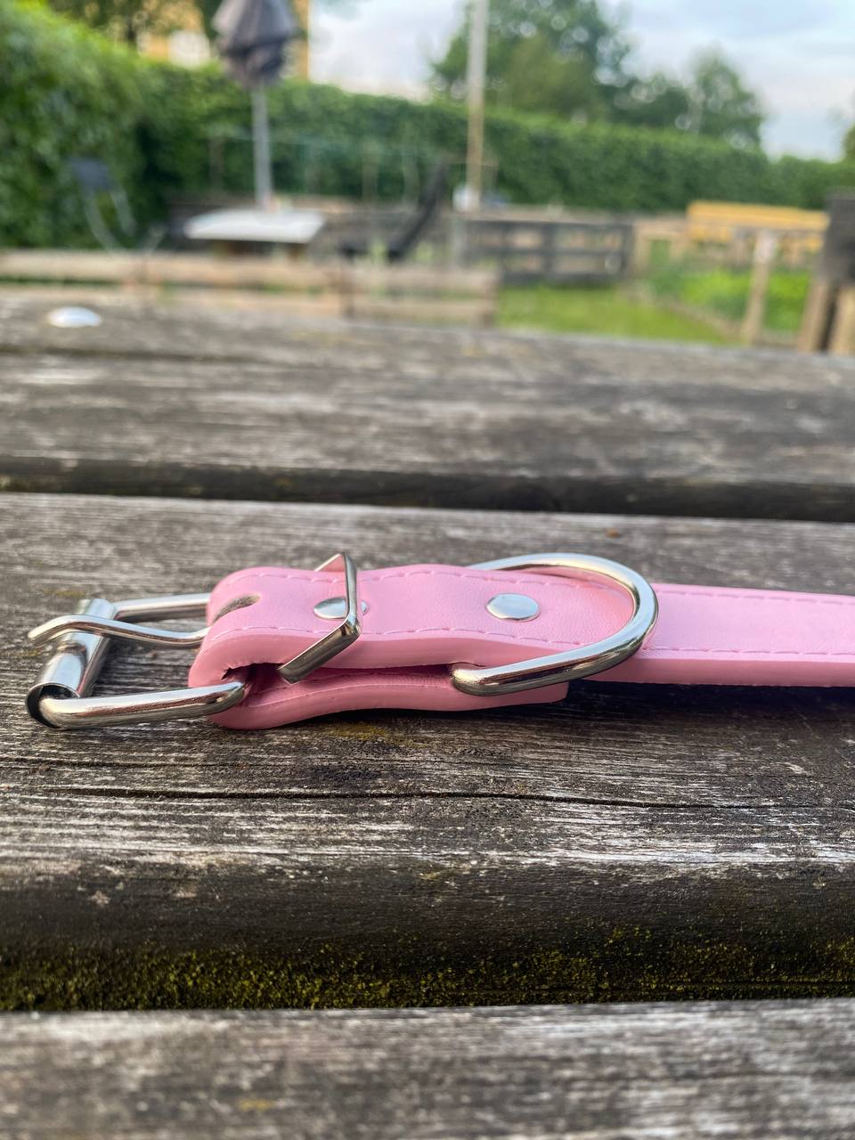 Everyday Elegance – Hundhalsband i PU ( miljövänligt 🌱 & veganskt)