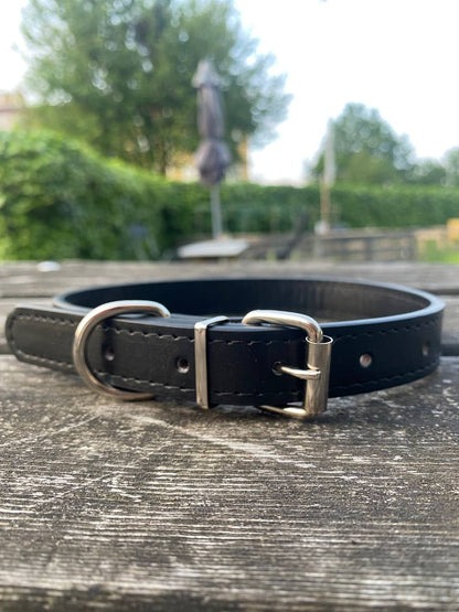 Everyday Elegance – Hundhalsband i PU ( miljövänligt 🌱 & veganskt)