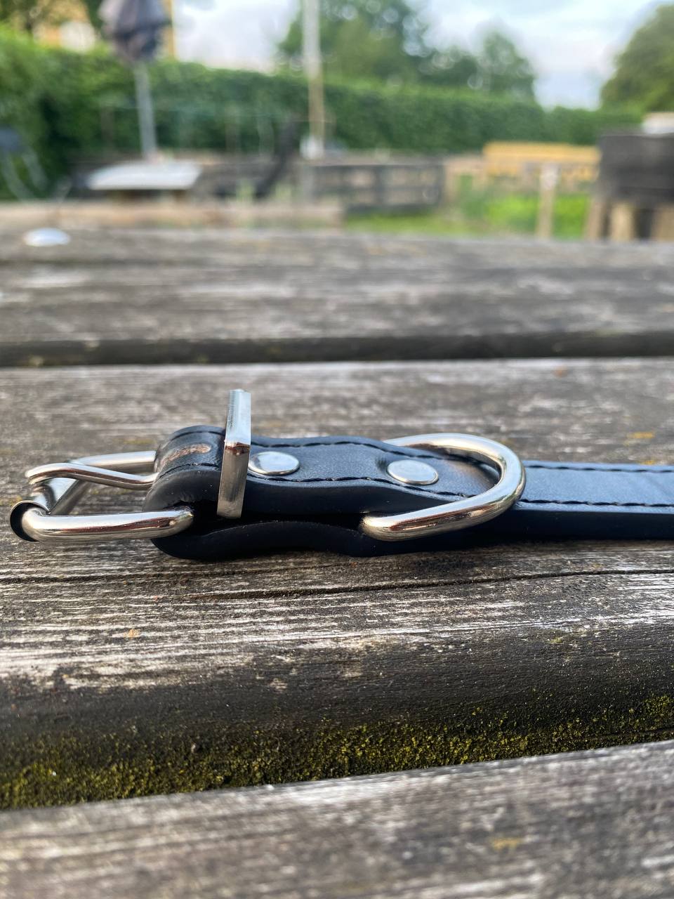 Everyday Elegance – Hundhalsband i PU ( miljövänligt 🌱 & veganskt)